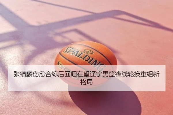 张镇麟伤愈合练后回归在望辽宁男篮锋线轮换重组新格局
