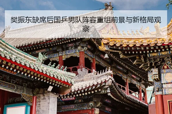樊振东缺席后国乒男队阵容重组前景与新格局观察